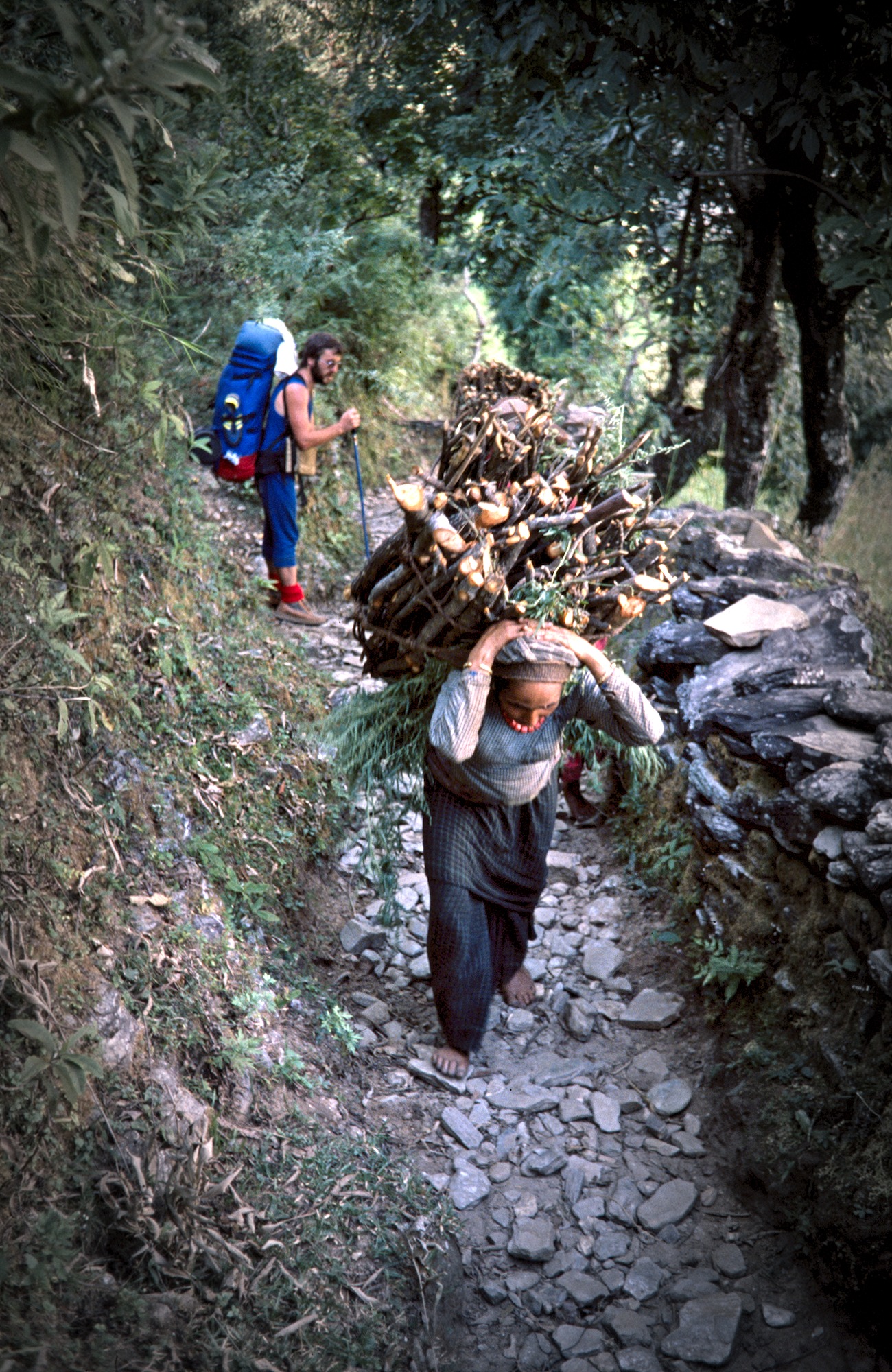 Bringing the Firewood