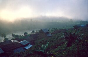 Foggy Morning