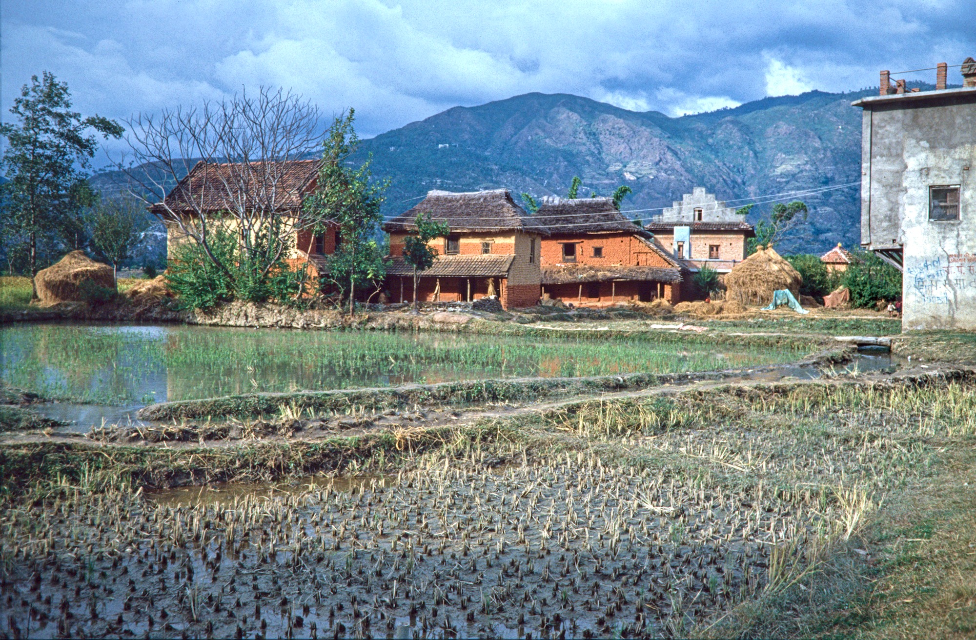 On the Way to Bodanilkantha