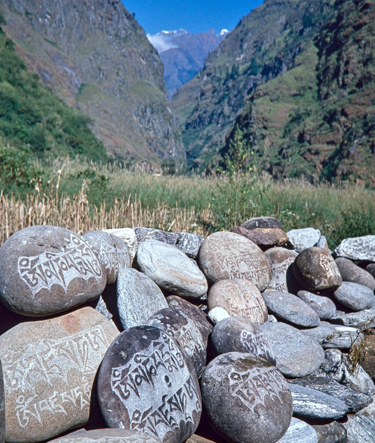 Reaching Buddhist Regions