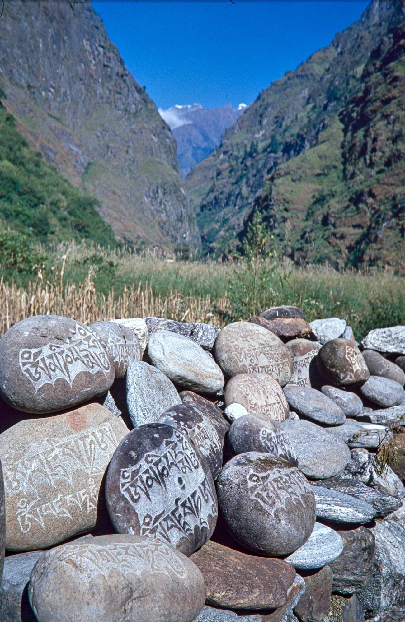 Reaching Buddhist Regions