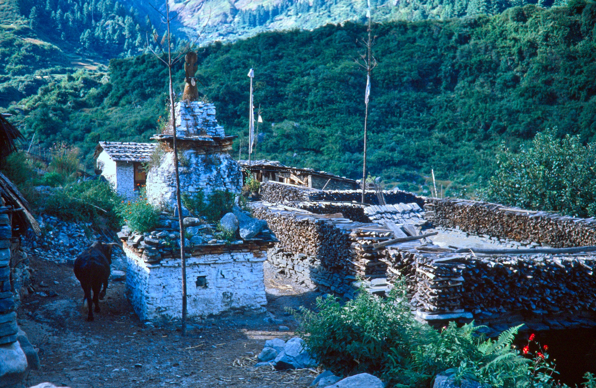 Chorten, Firewood