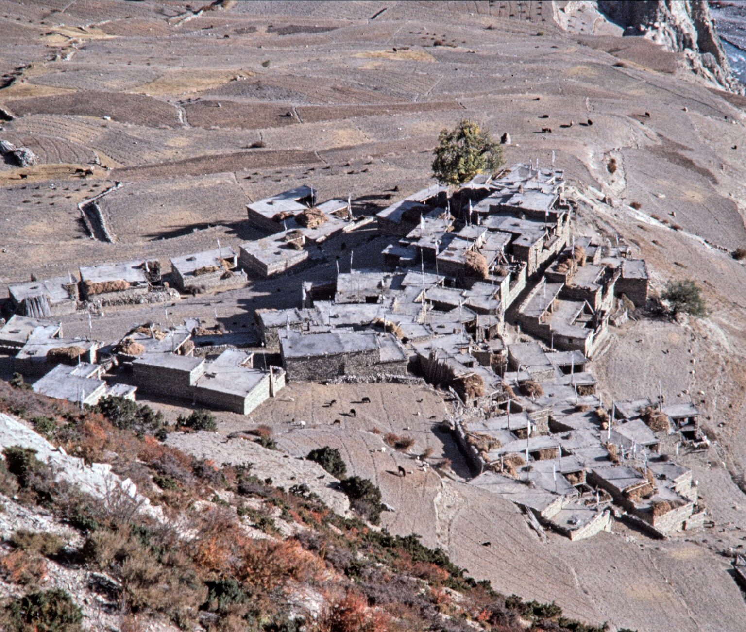 From Above