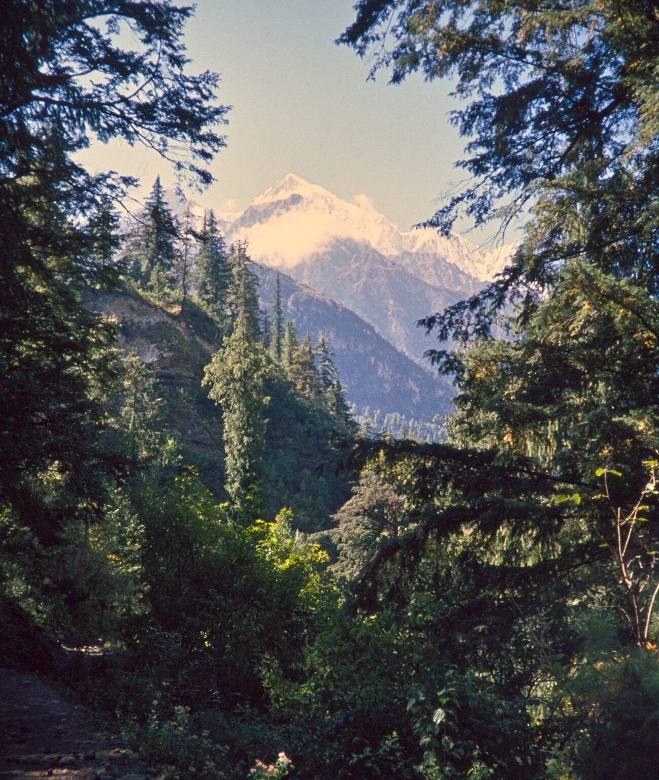 Leaving the Lowlands