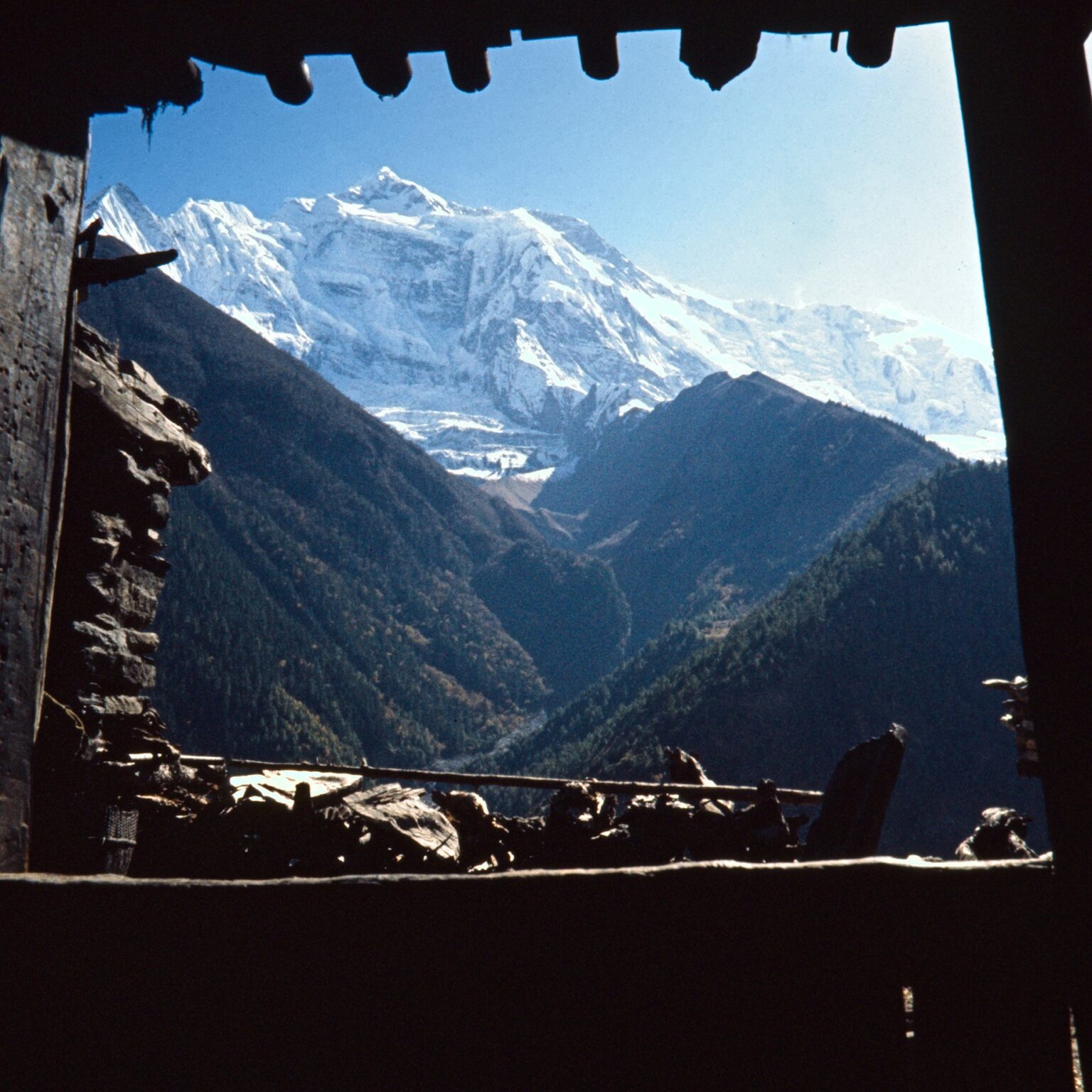Porch with a View