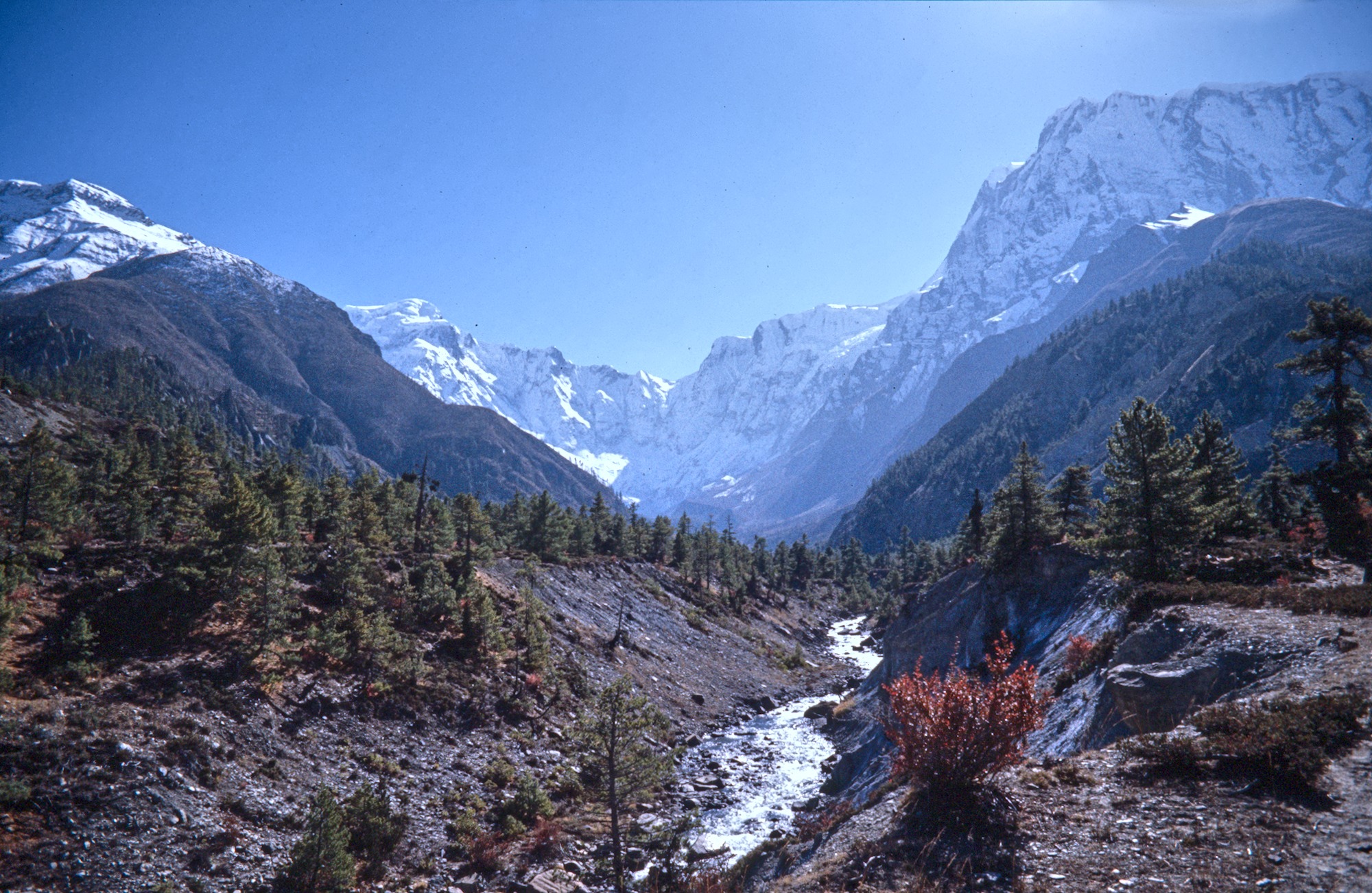 The Ice Peaks greeted us