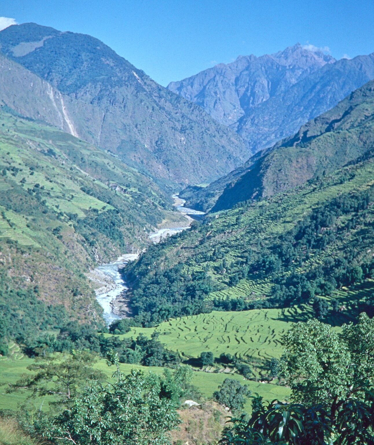 Back in the Paddy-Fields Area again