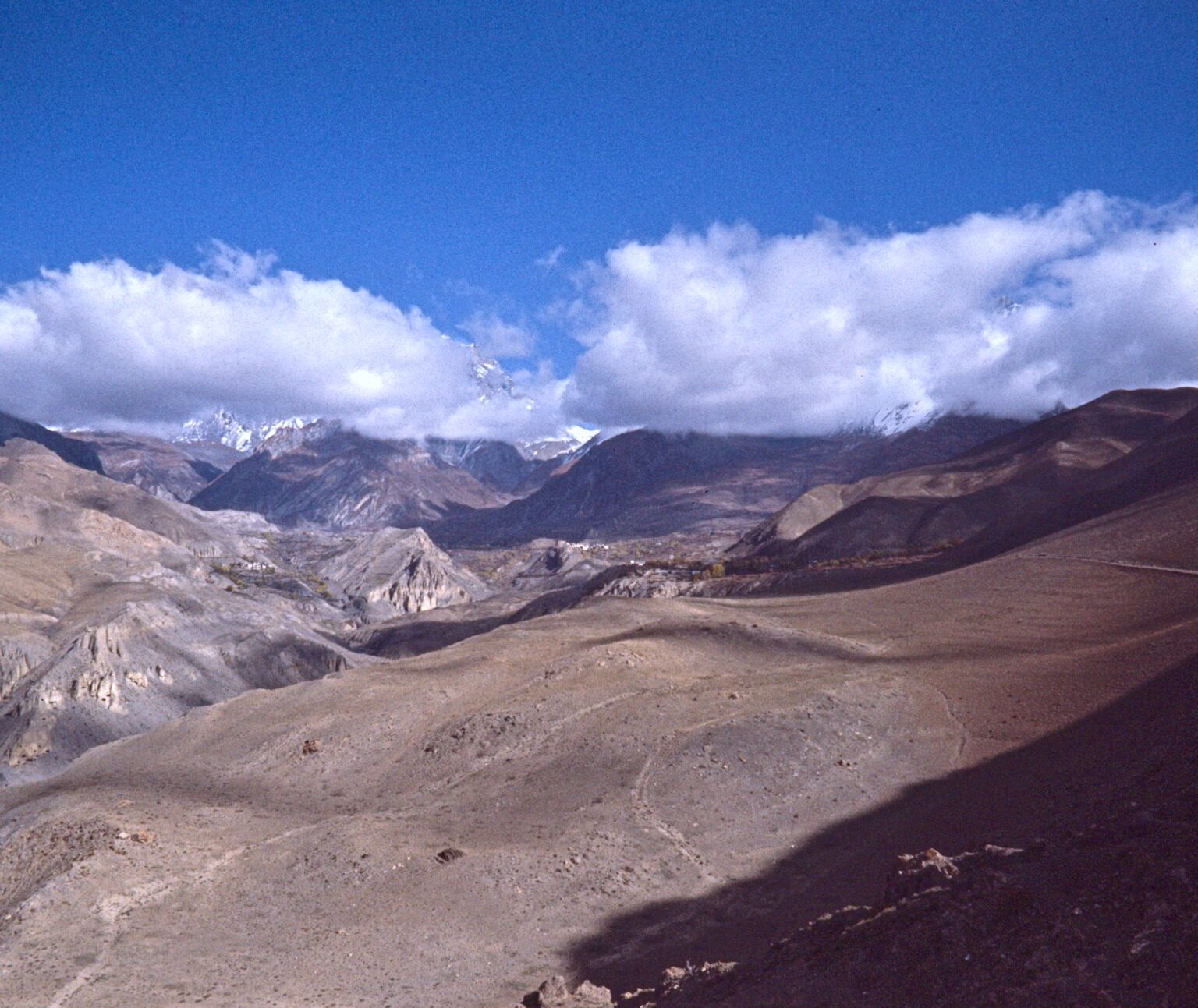 Looking towards Mustang