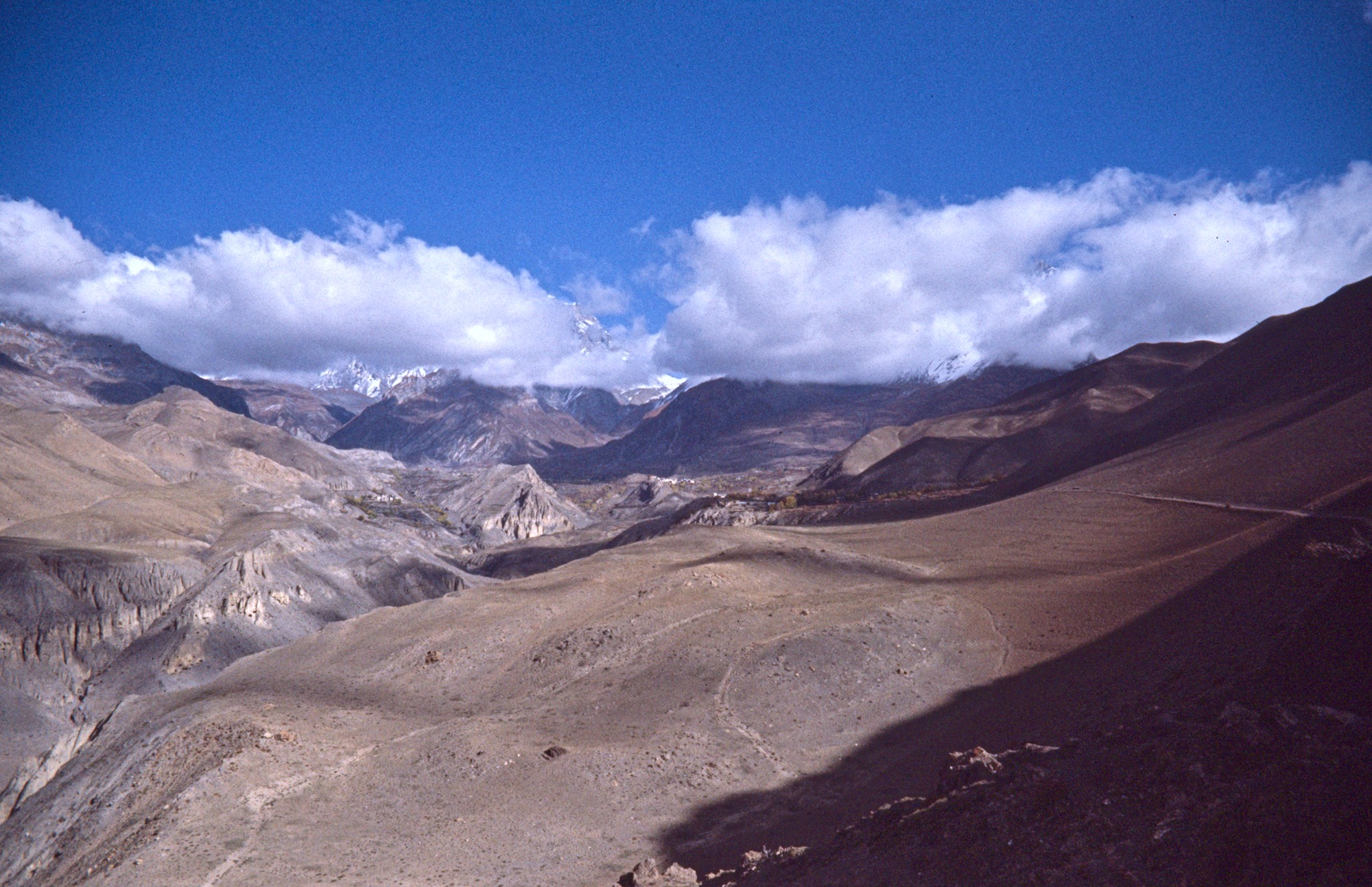 Looking towards Mustang