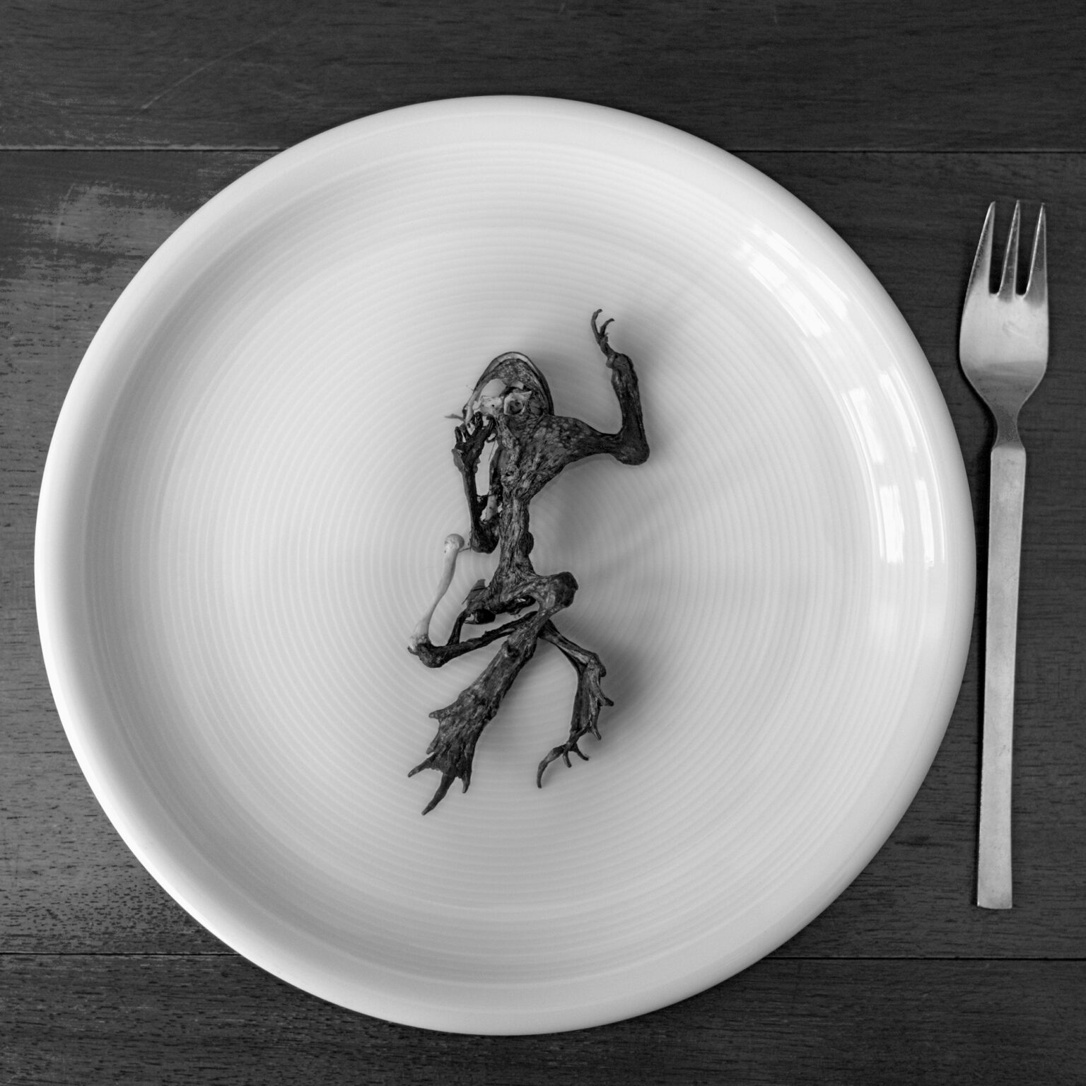 Memento Mori