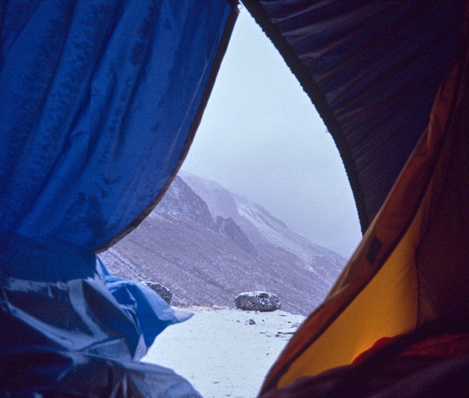 The next Morning: Snow