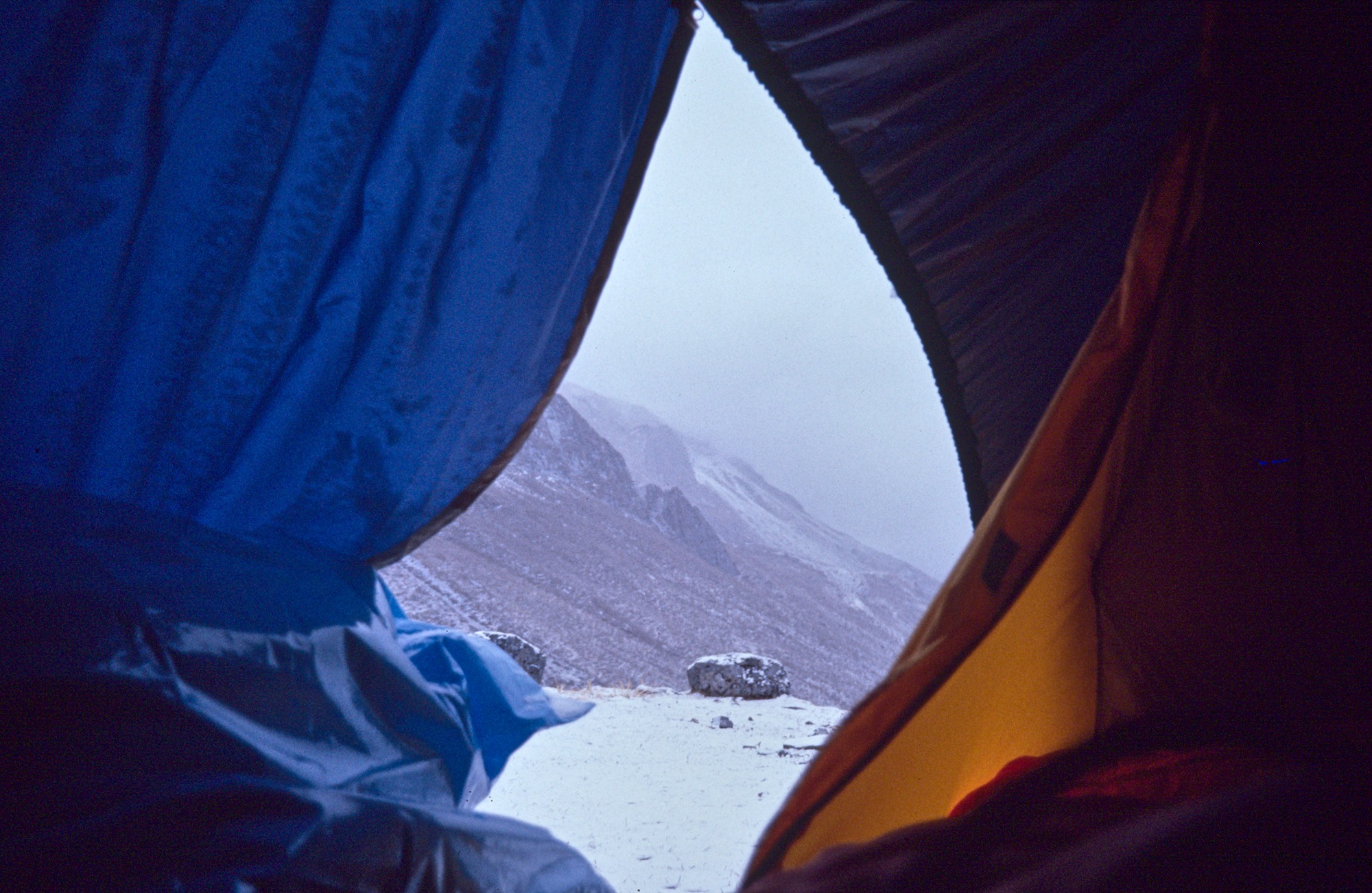 The next Morning: Snow