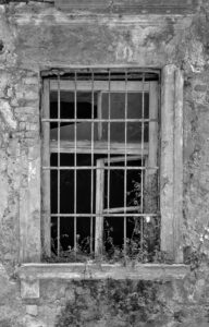 Window Weeds