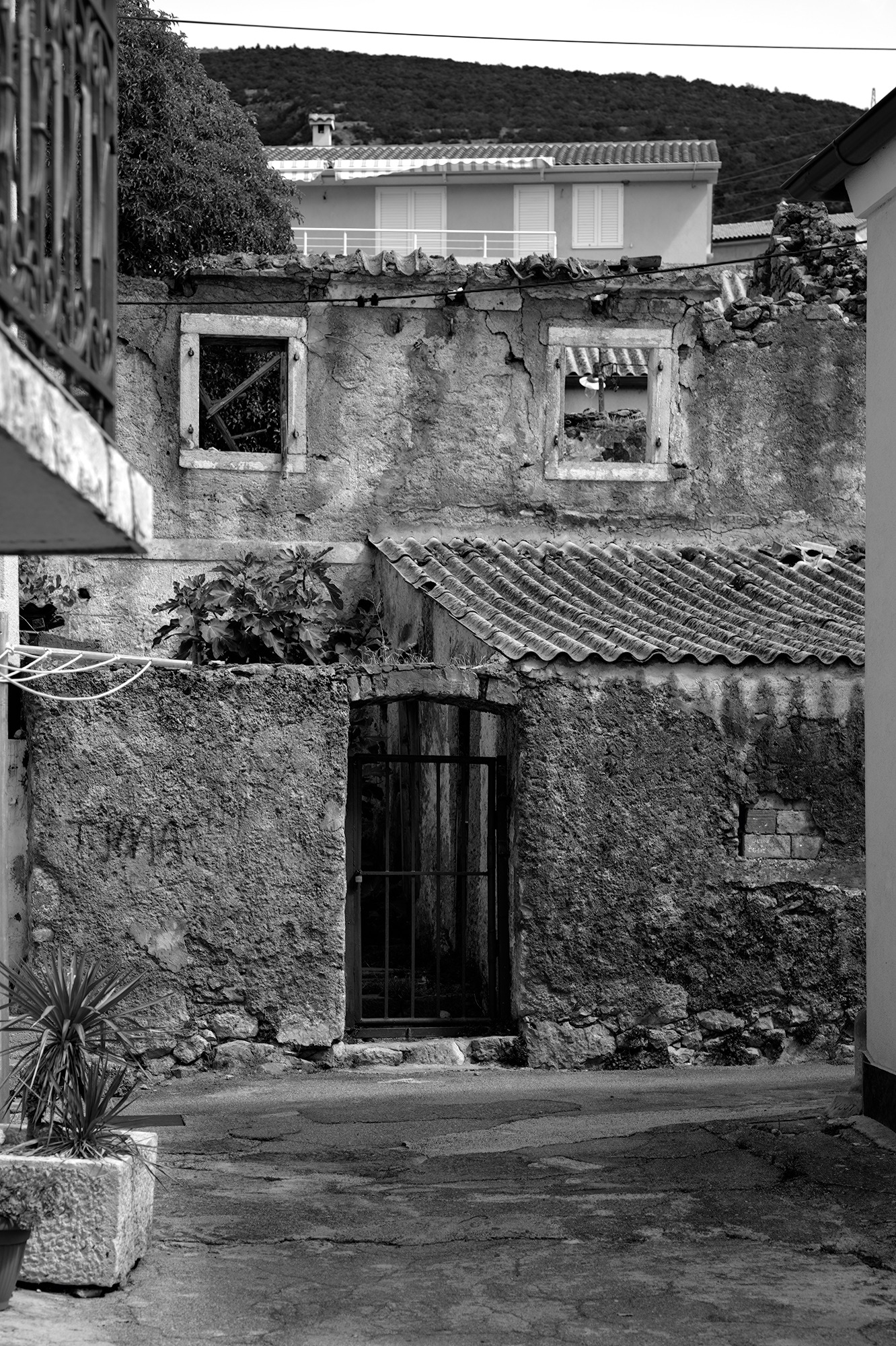 New and Old II