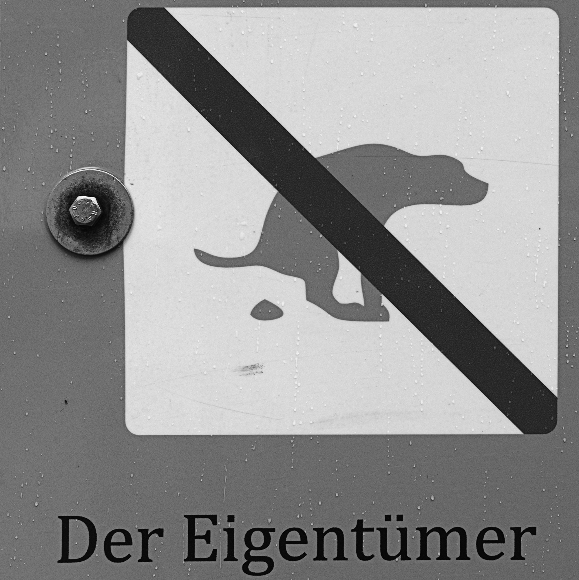 „Der Eigentümer“ – The Owner / Selfie