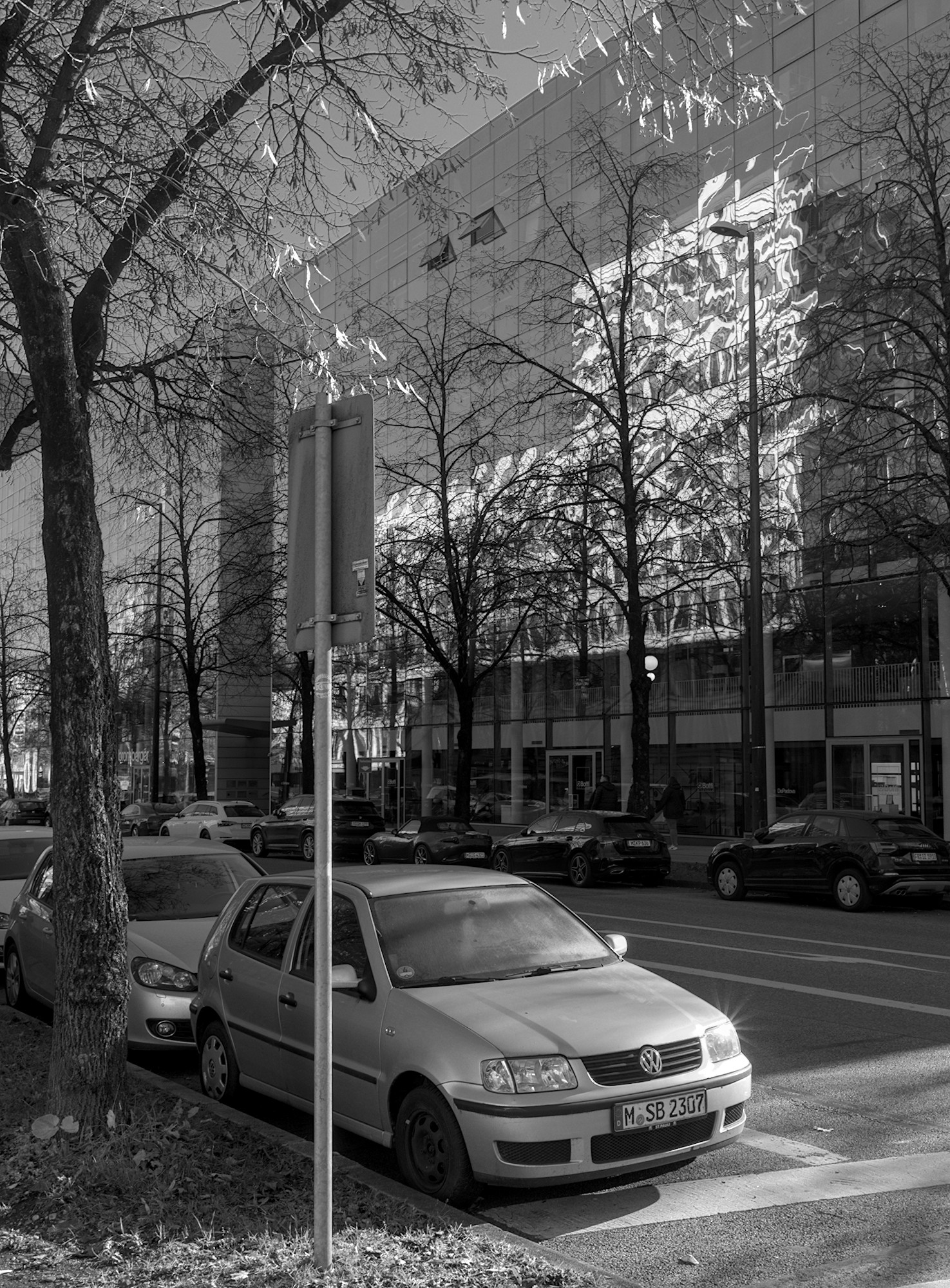 Street Light