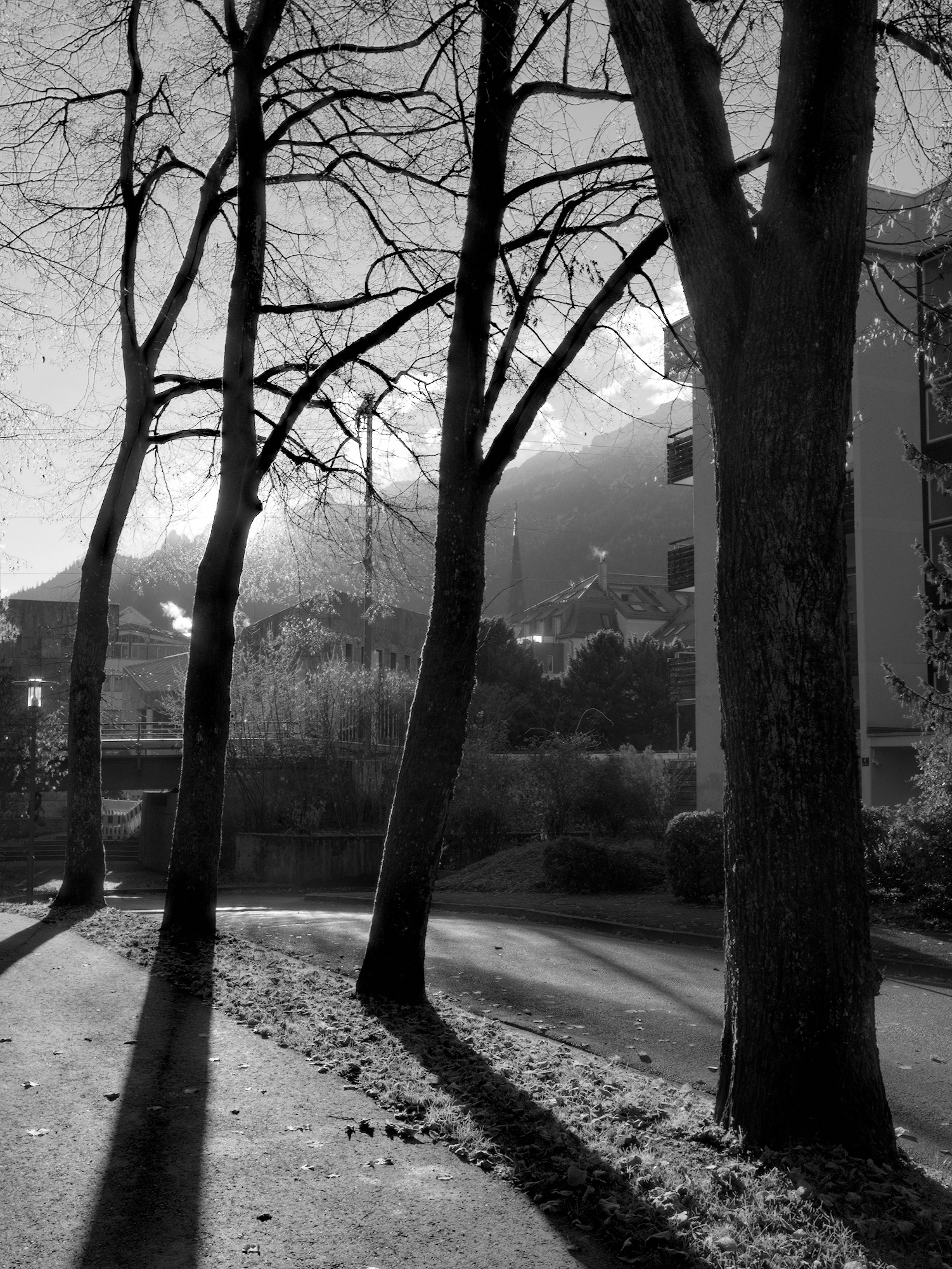 Winter Light