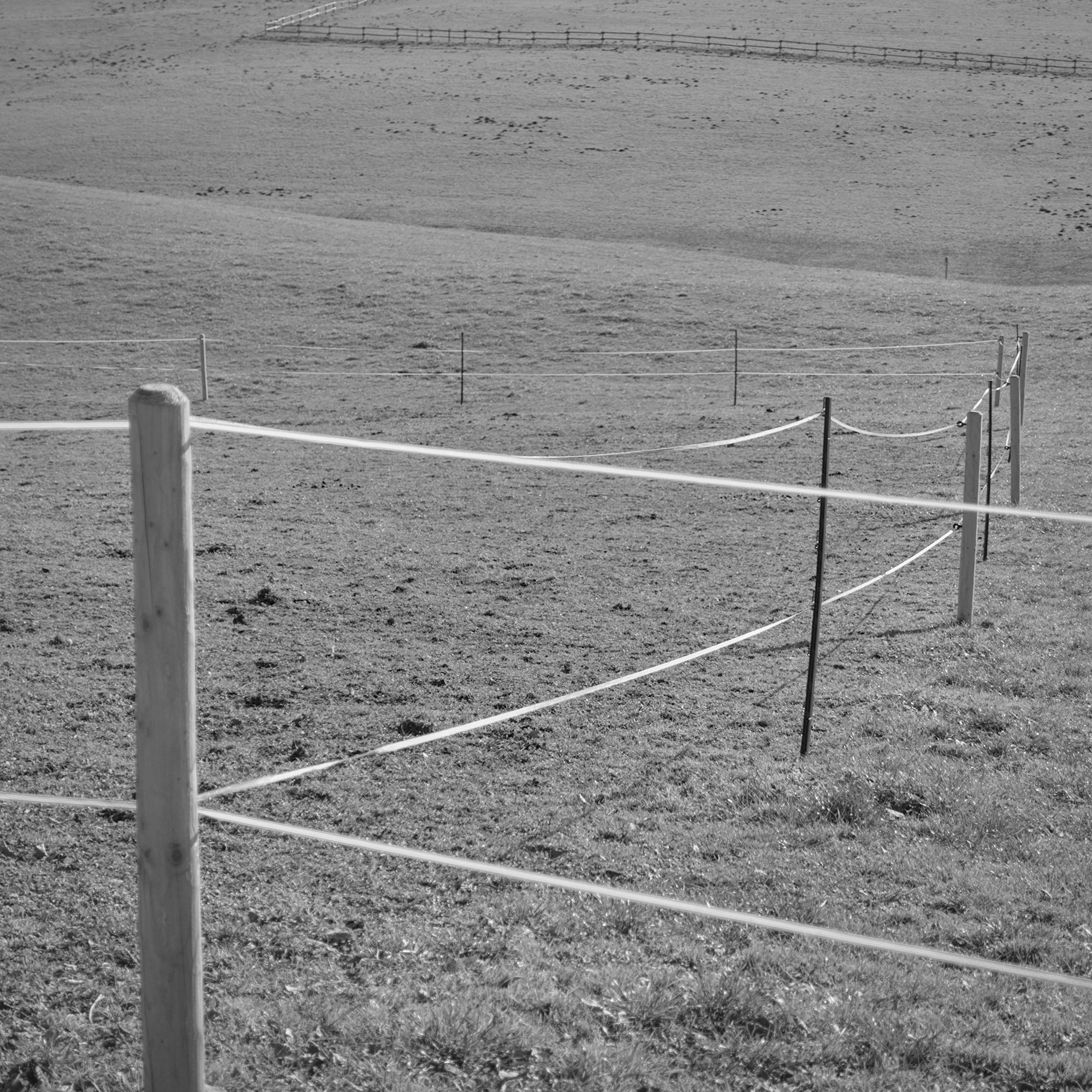 Delicate Fencing