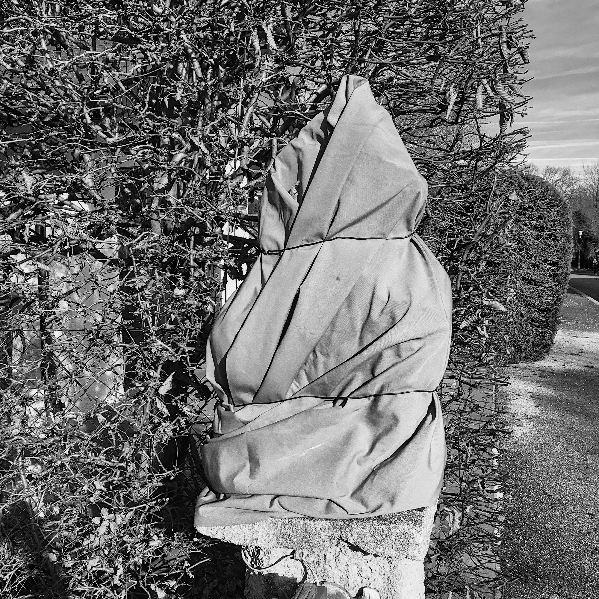 Hidden in plain Sight