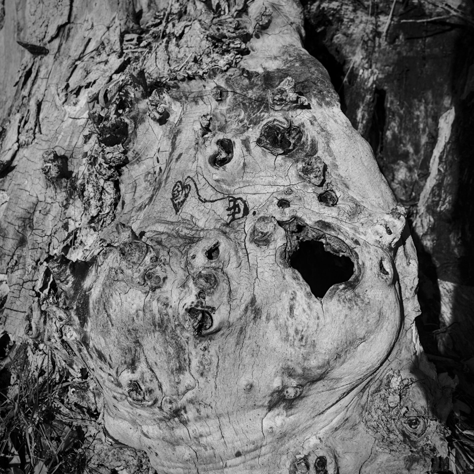 Hommage to Munch