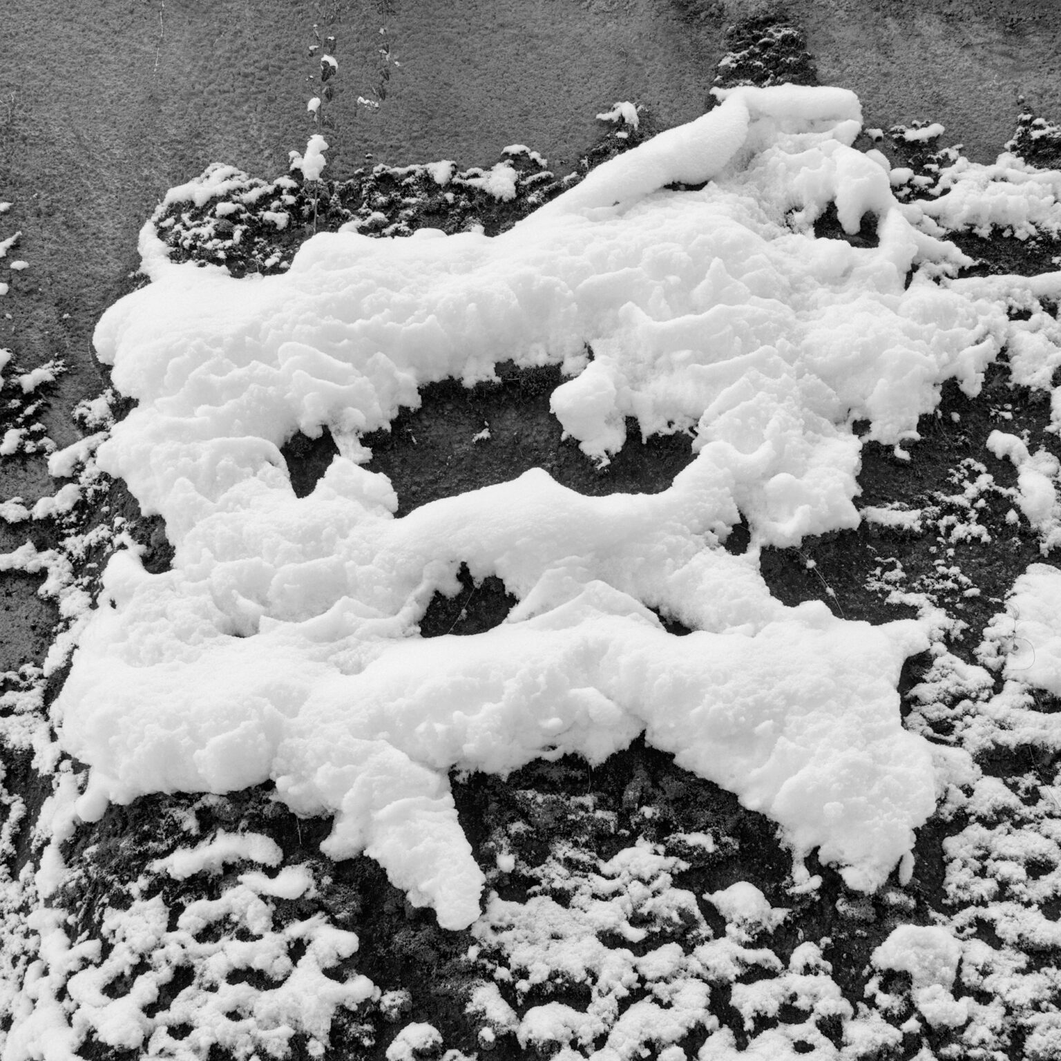 Snowy Mene Tekel Fares