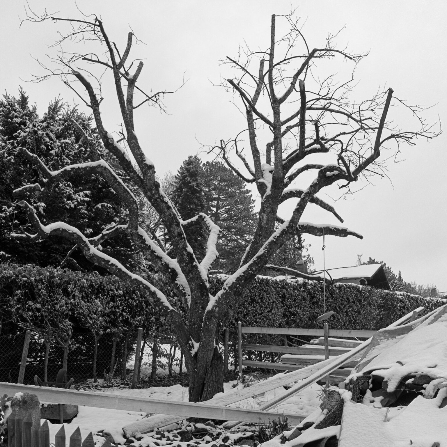 What remains II
