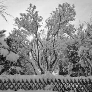 Winter Symmetry