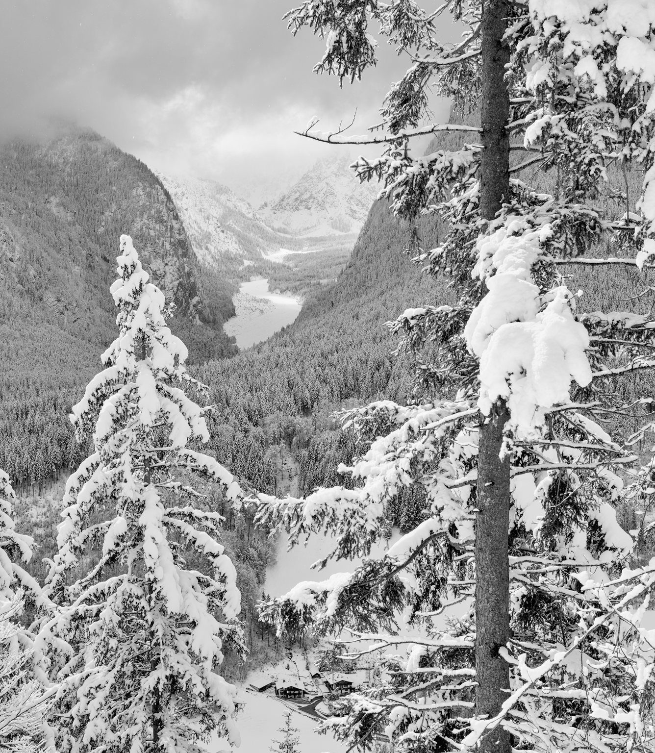 Fresh Snow – and more to come