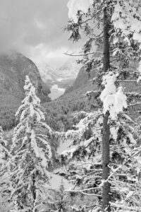 Fresh Snow – and more to come