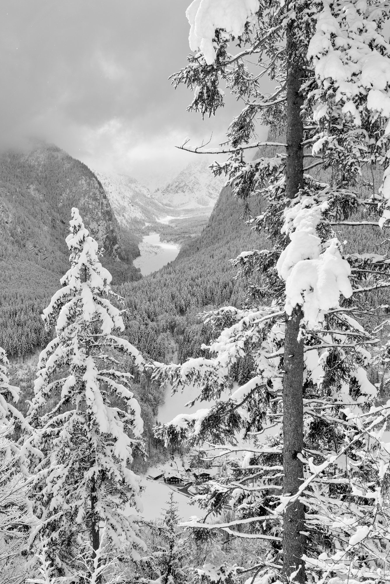 Fresh Snow – and more to come