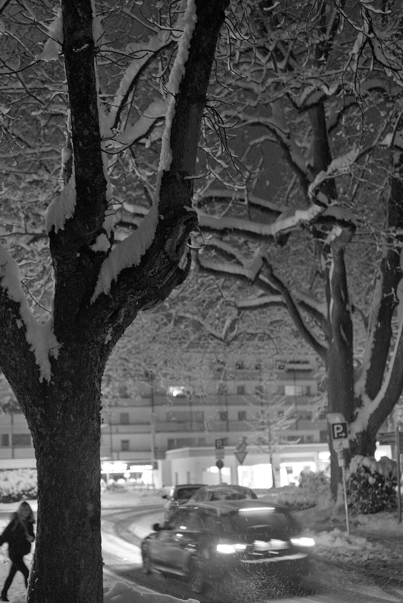 From January’s Snowfall