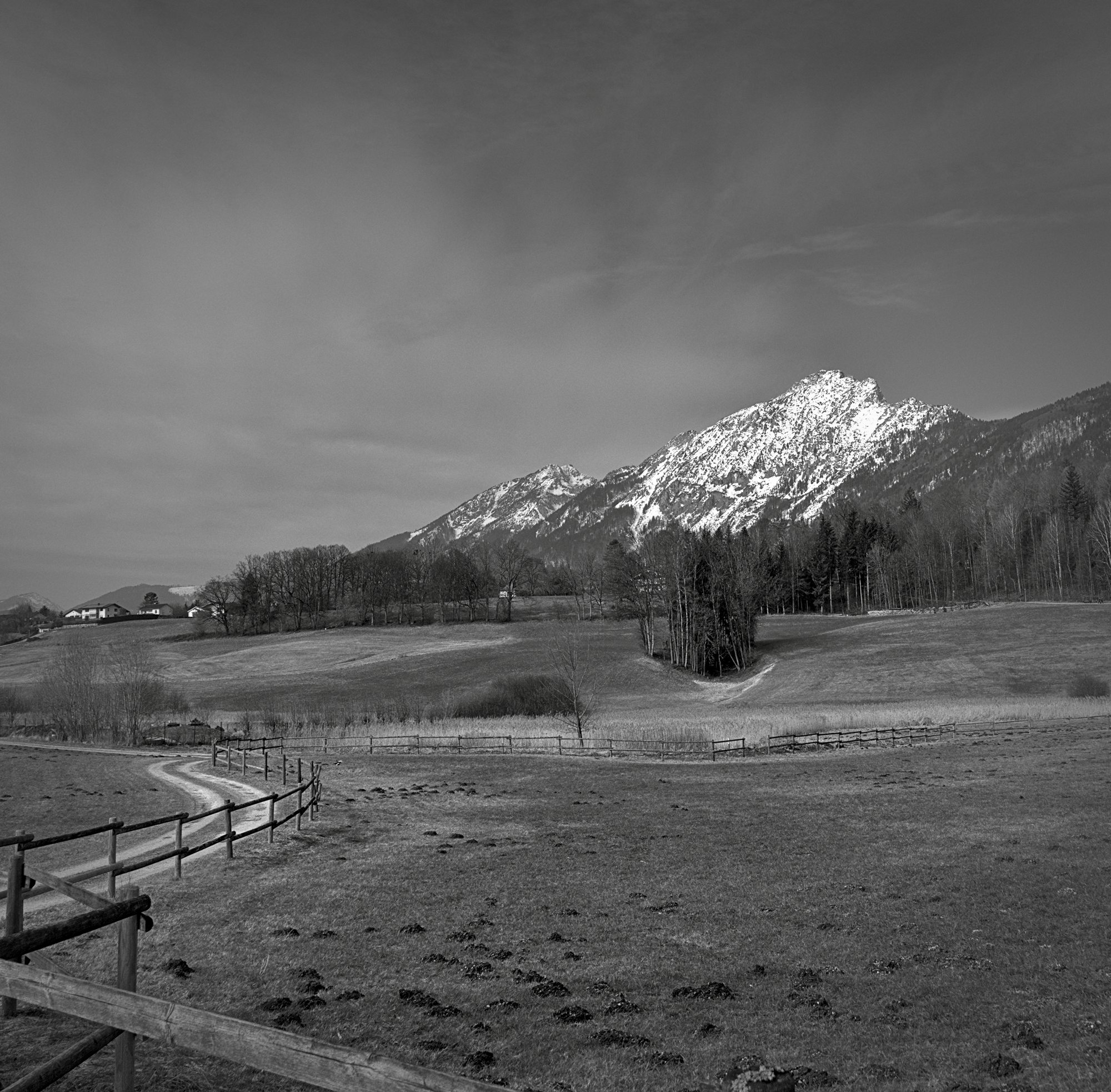 Only some days later