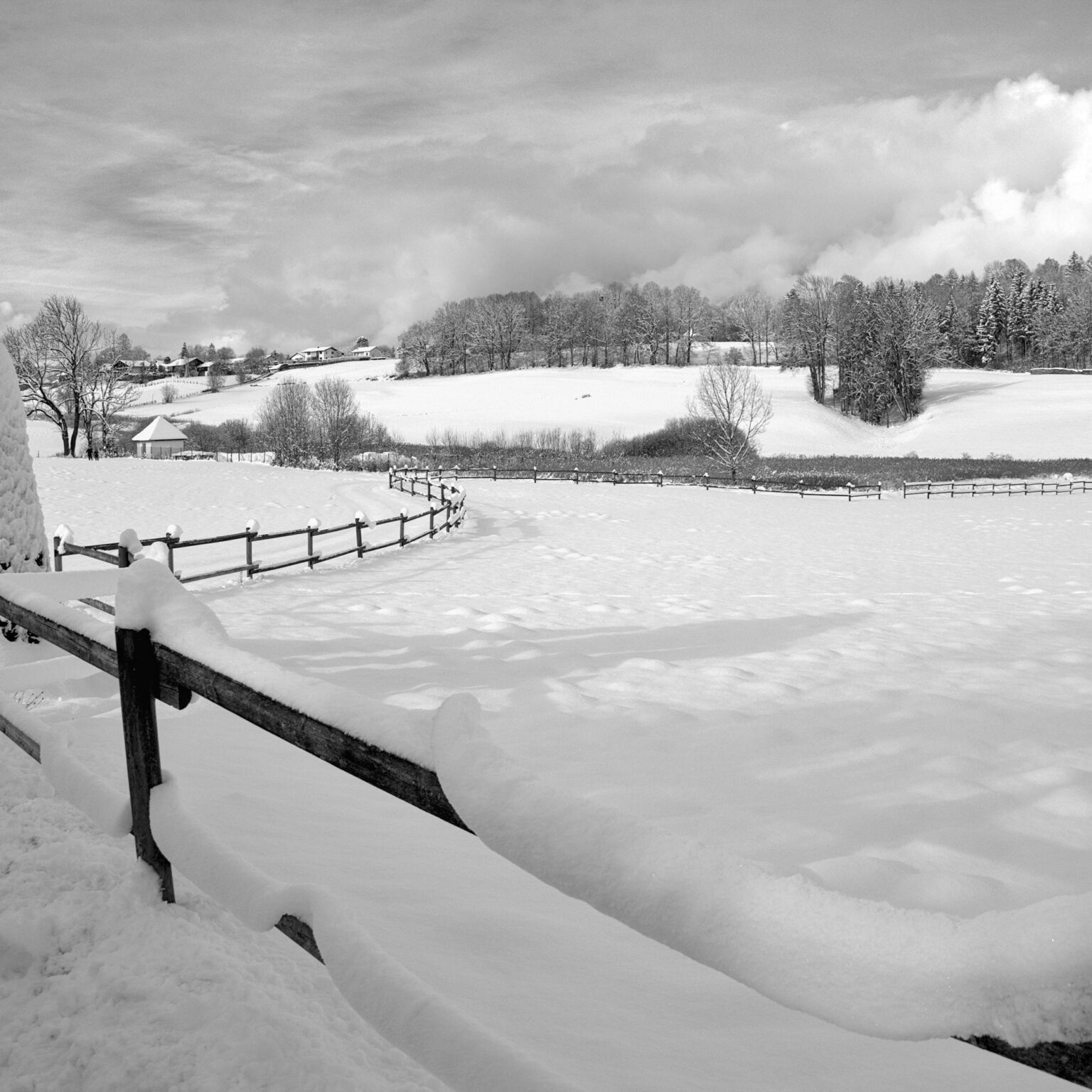 Overnight Snow