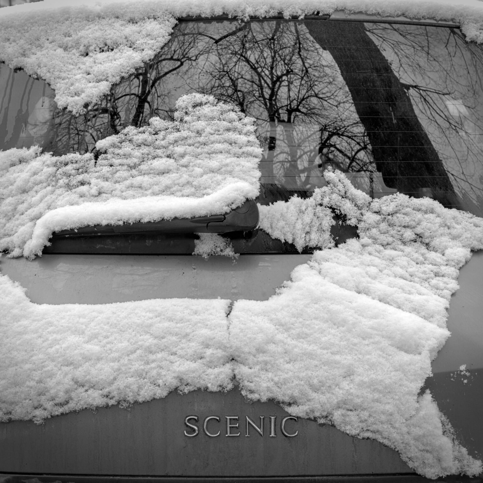 Scenic View