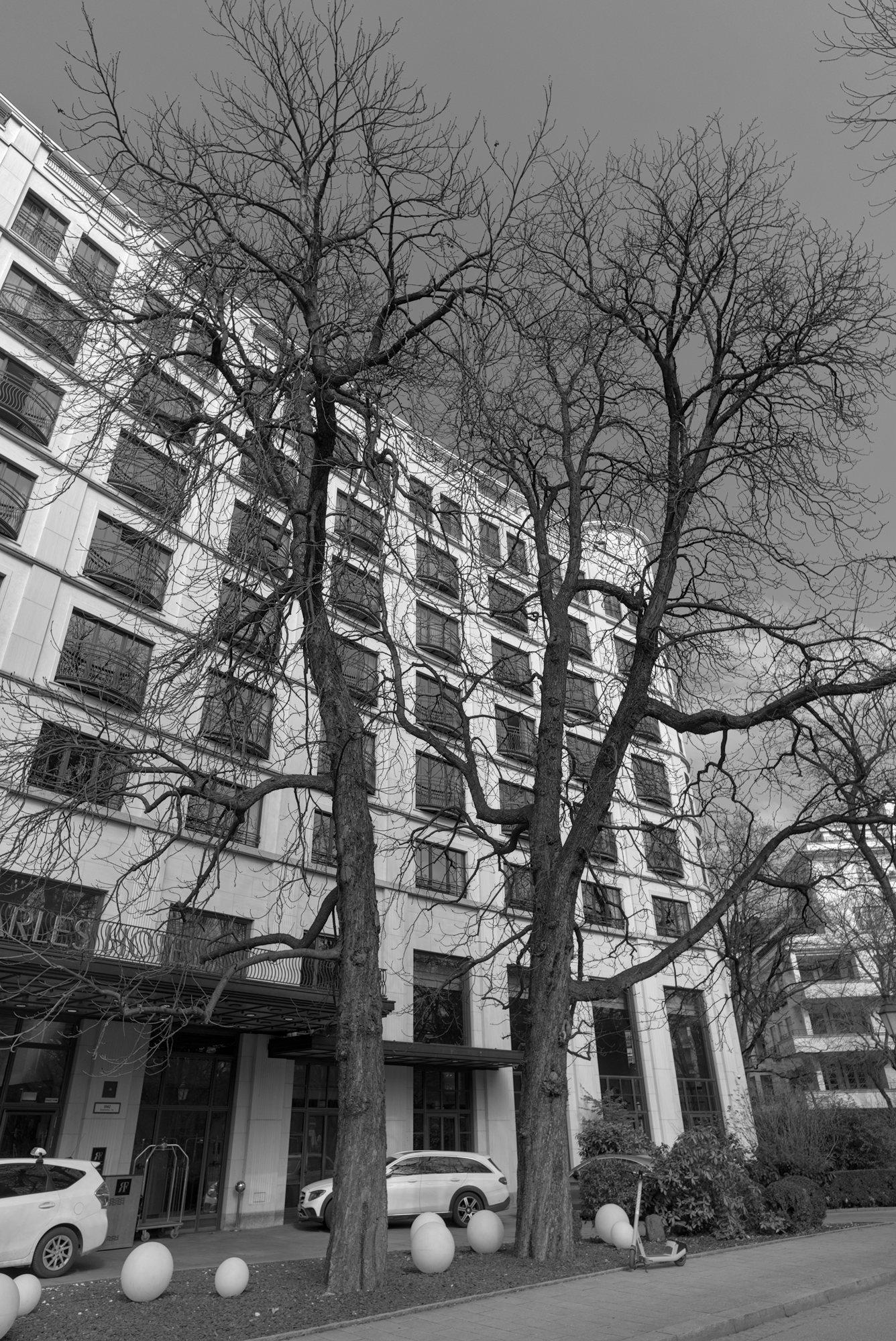 City Trees, again