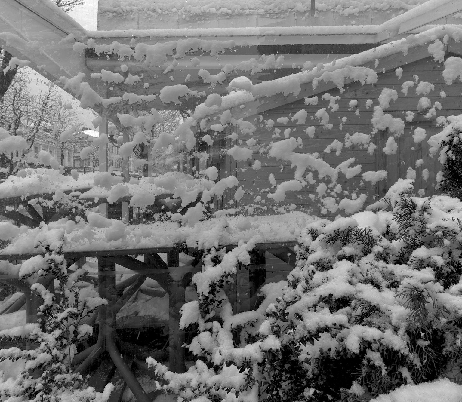 Snowed-on Winter Garden