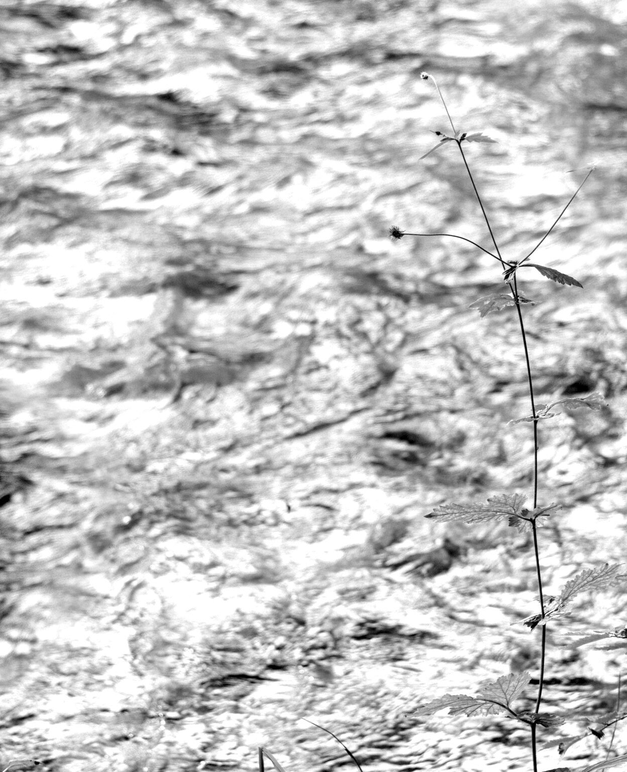 Nearly Invisible