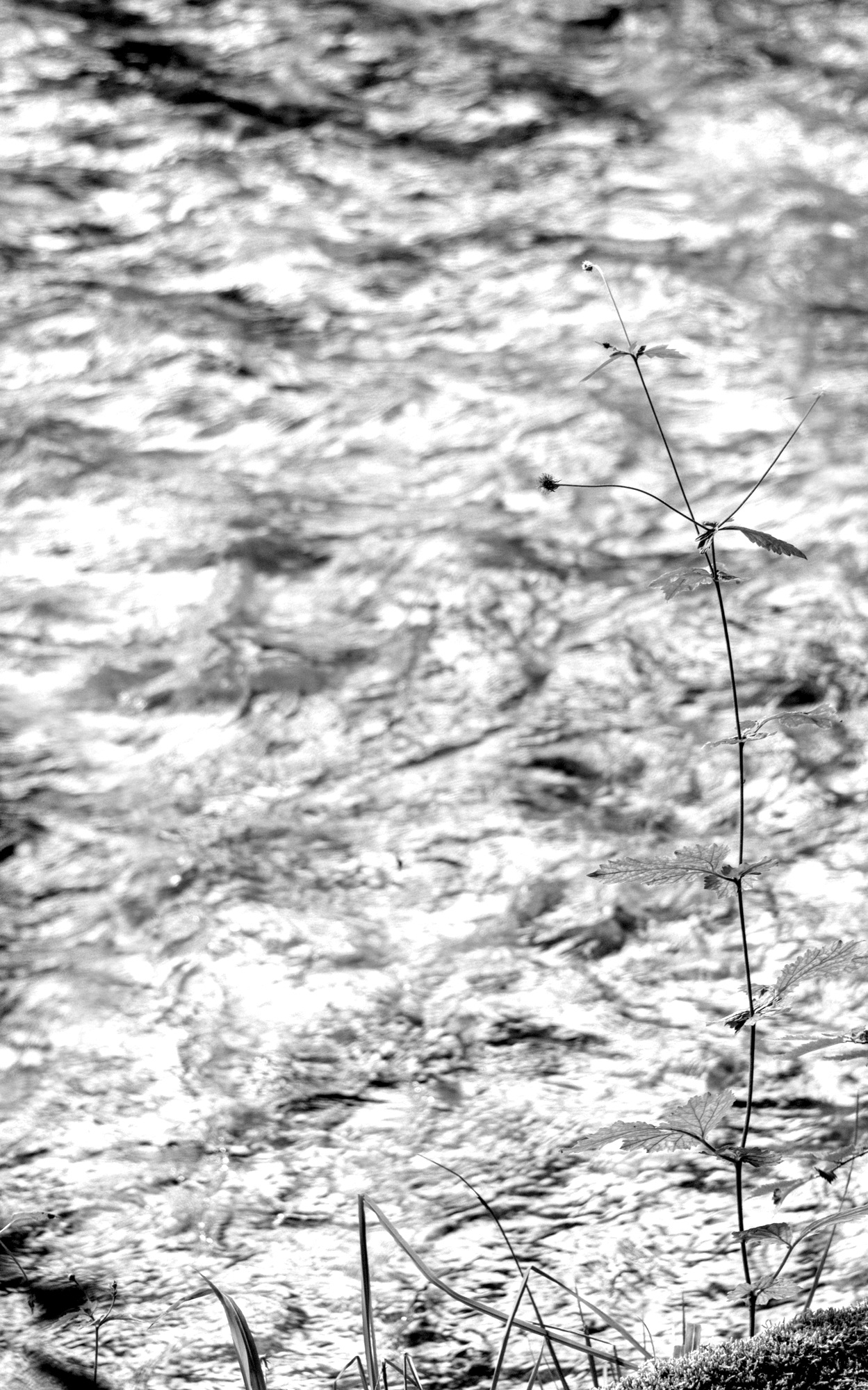 Nearly Invisible