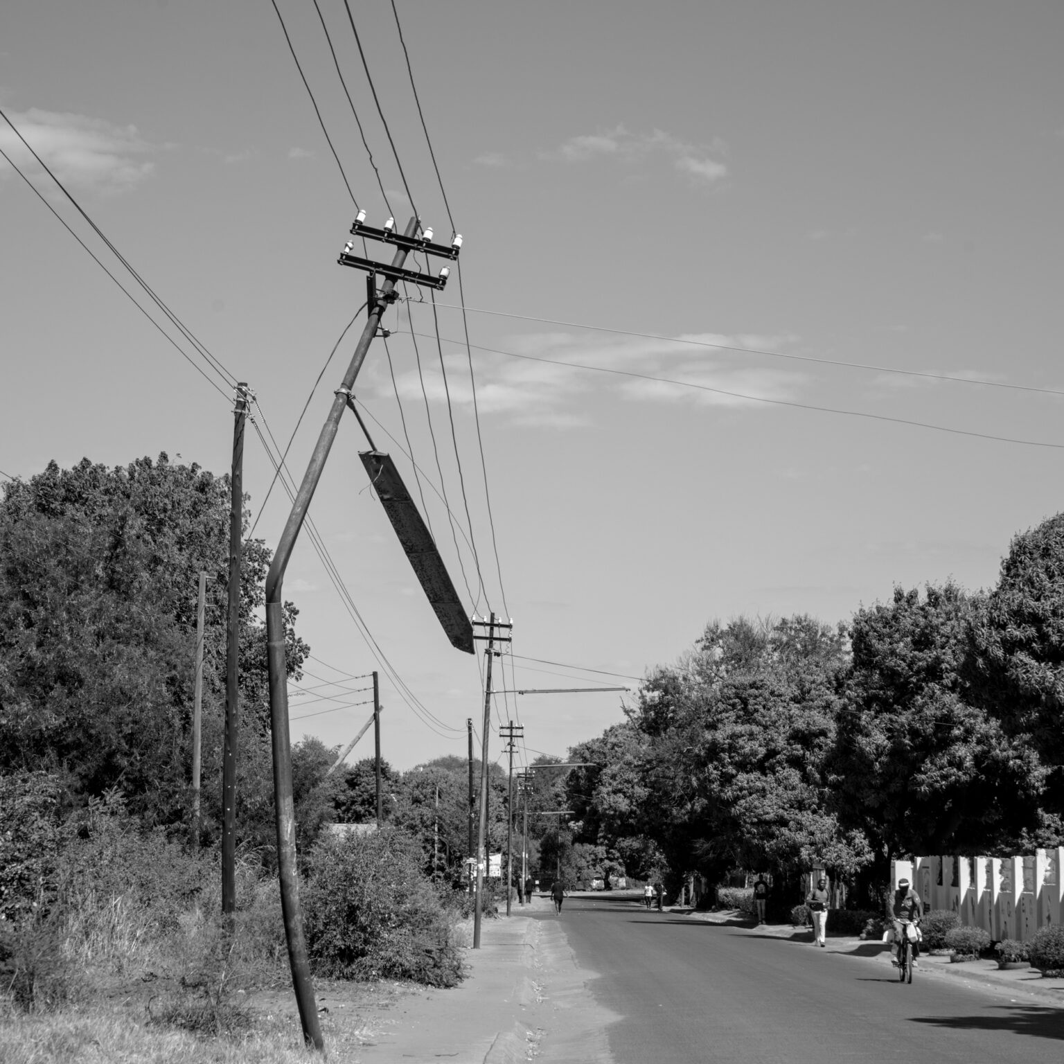 Bowing Streetlight