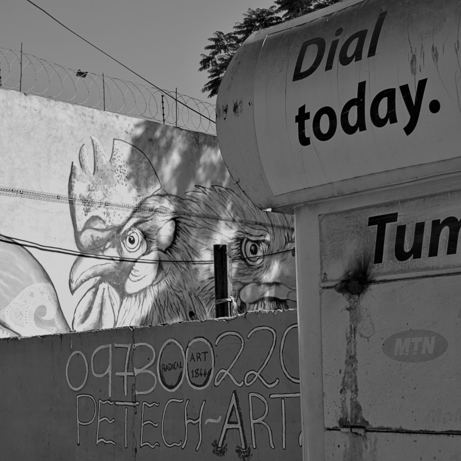 Dial Today