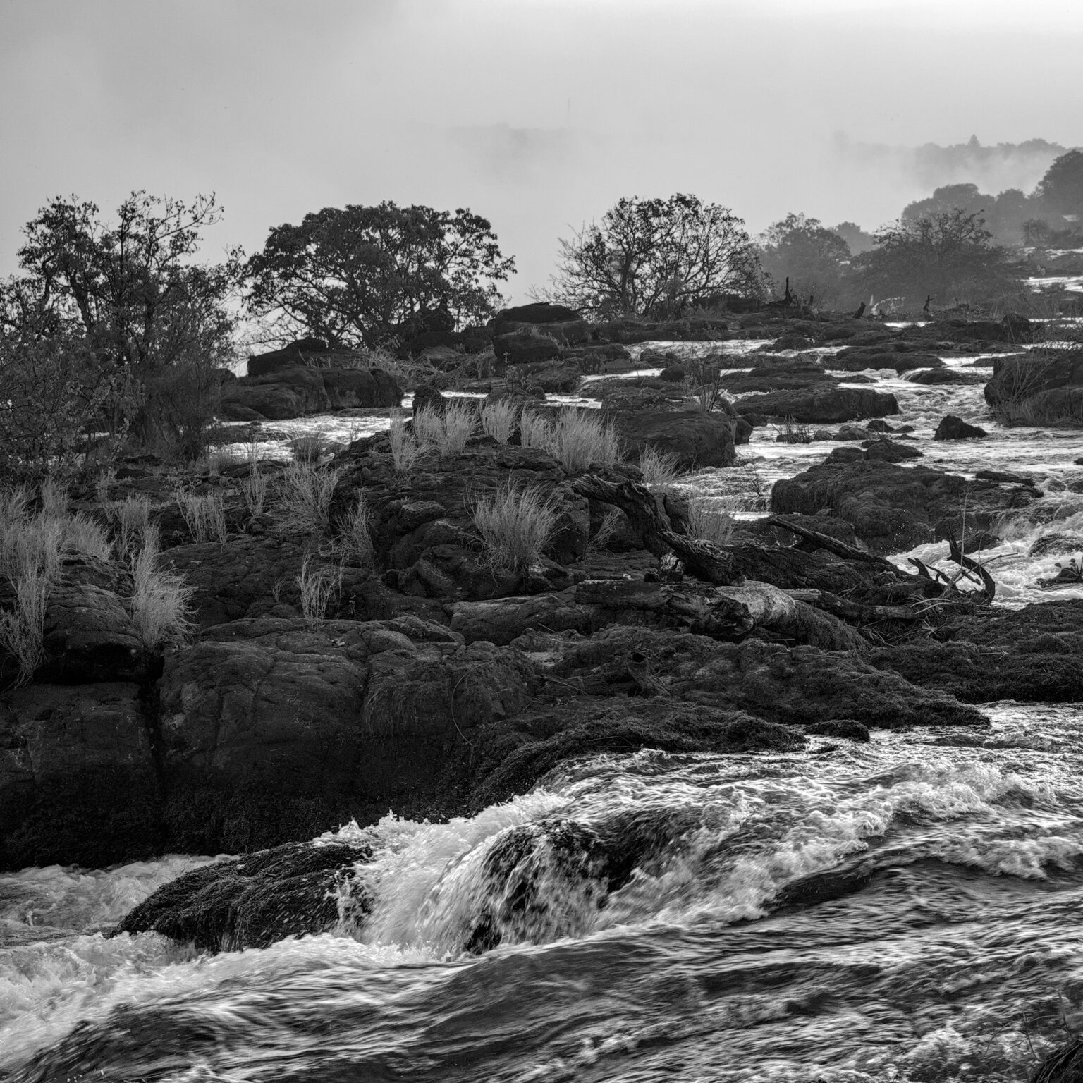 Feeding the Falls