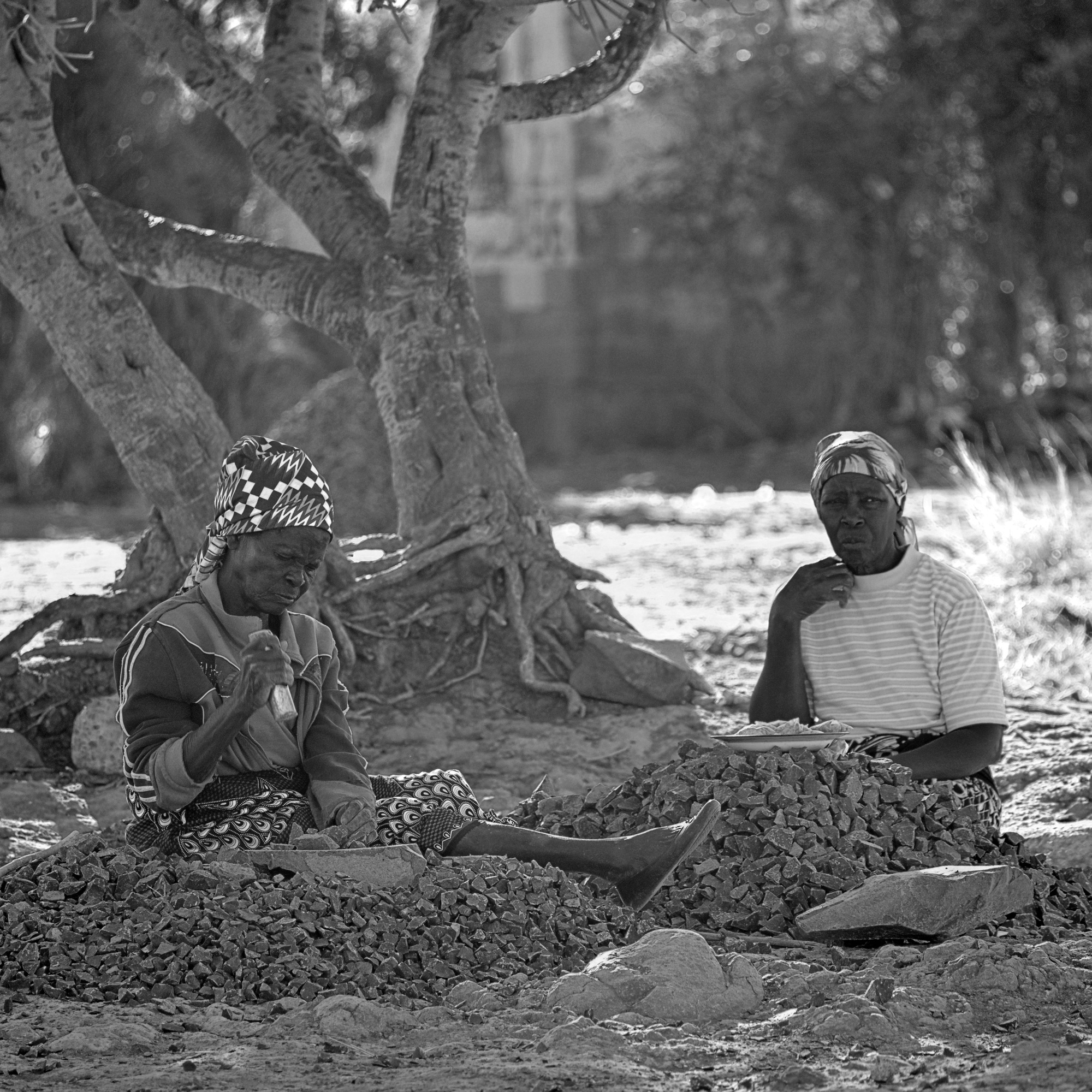 It’s all Hand to Mouth V