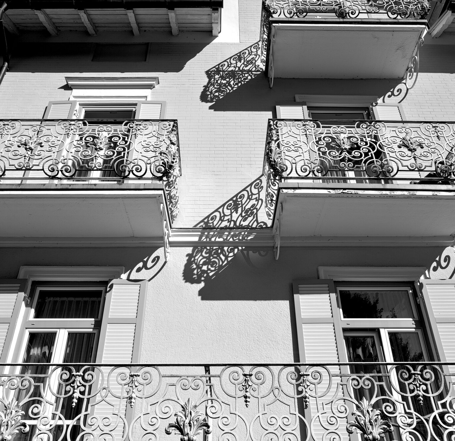 Brussels Lace