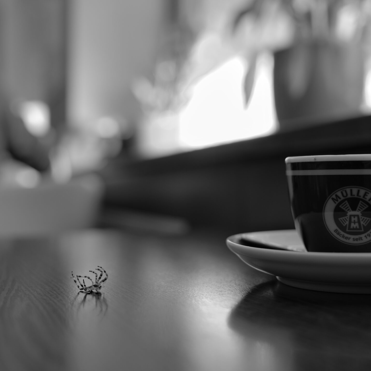 Death in the Afternoon