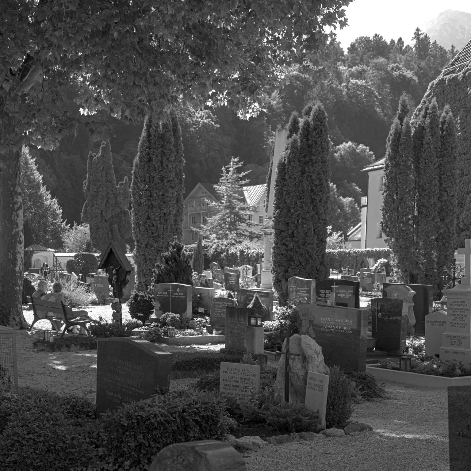 Garden of Peace