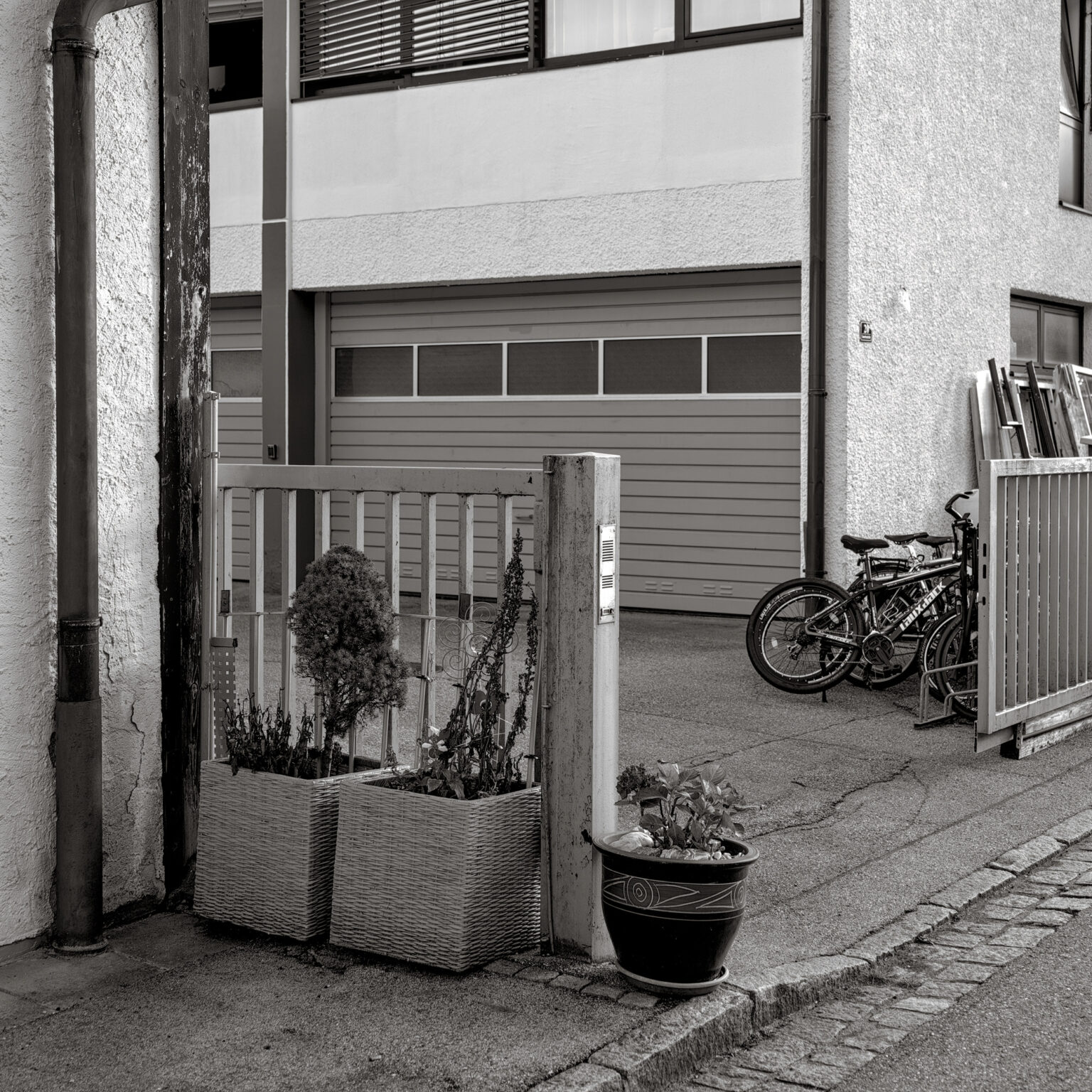 Potted Plants