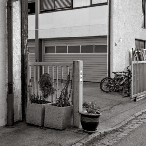Potted Plants