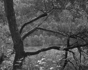 Quiet Days at the Thumsee