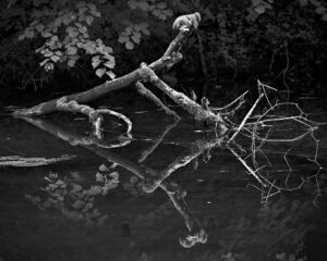 Thumsee Imbroglio