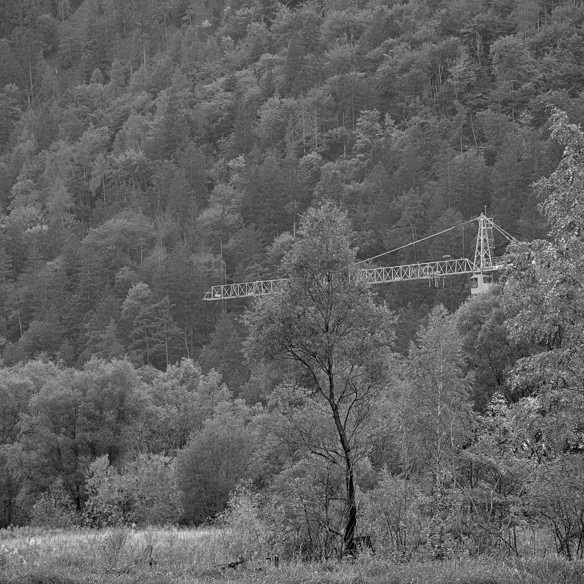 Impending Development